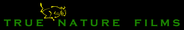 True Nature Films Logo