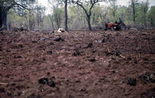 tractor on the park land